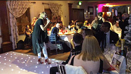 dog boarding services